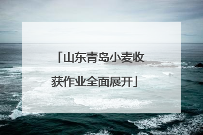 山东青岛小麦收获作业全面展开