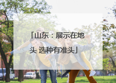 山东：展示在地头 选种有准头