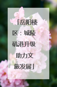岳阳楼区：城陵矶港升级 助力文旅发展