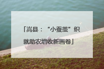 嵩县：“小蚕茧”织就助农增收新画卷