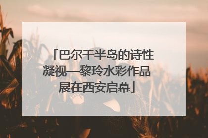 巴尔干半岛的诗性凝视—黎玲水彩作品展在西安启幕