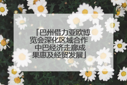巴州借力亚欧博览会深化区域合作 中巴经济走廊成果惠及经贸发展
