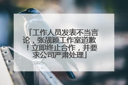 工作人员发表不当言论，张靓颖工作室道歉！立即终止合作，并要求公司严肃处理