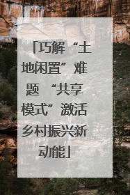 巧解“土地闲置”难题 “共享模式”激活乡村振兴新动能