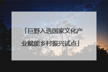 巨野入选国家文化产业赋能乡村振兴试点