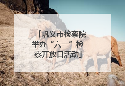 巩义市检察院举办“六一”检察开放日活动