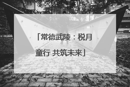 常德武陵：税月童行 共筑未来