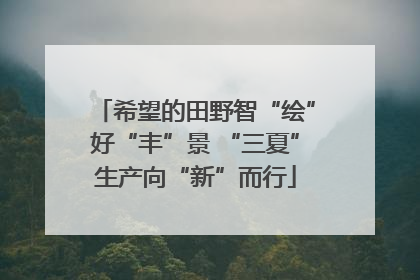 希望的田野智“绘”好“丰”景 “三夏”生产向“新”而行