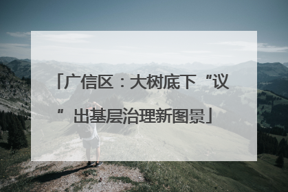 广信区：大树底下“议”出基层治理新图景