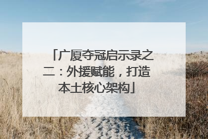 广厦夺冠启示录之二：外援赋能，打造本土核心架构