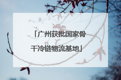 广州获批国家骨干冷链物流基地