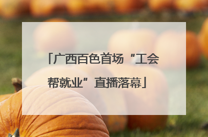 广西百色首场“工会帮就业”直播落幕