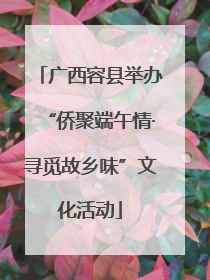 广西容县举办“侨聚端午情·寻觅故乡味”文化活动