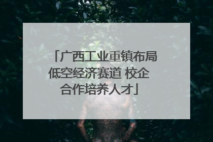 广西工业重镇布局低空经济赛道 校企合作培养人才