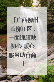 广西柳州市柳江区：一面锦旗映初心 暖心服务助营商