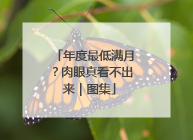 年度最低满月？肉眼真看不出来｜图集