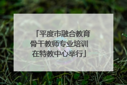 平度市融合教育骨干教师专业培训在特教中心举行