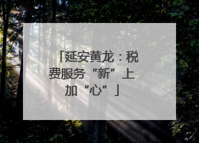 延安黄龙：税费服务“新”上加“心”