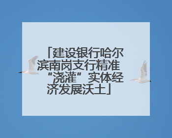 建设银行哈尔滨南岗支行精准“浇灌”实体经济发展沃土