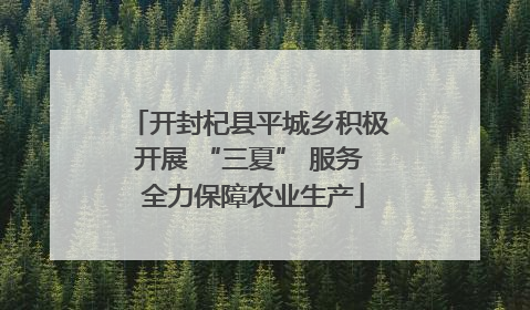 开封杞县平城乡积极开展 “三夏” 服务 全力保障农业生产