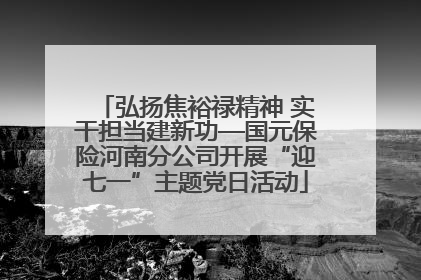 弘扬焦裕禄精神 实干担当建新功—国元保险河南分公司开展“迎七一”主题党日活动