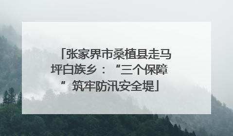 张家界市桑植县走马坪白族乡：“三个保障”筑牢防汛安全堤
