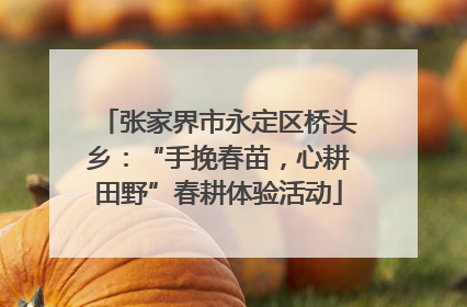 张家界市永定区桥头乡：“手挽春苗，心耕田野”春耕体验活动
