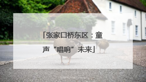 张家口桥东区：童声“唱响”未来