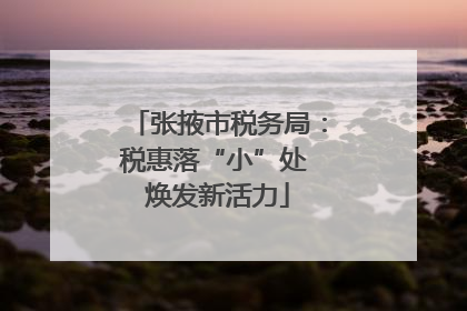 张掖市税务局：税惠落“小”处 焕发新活力