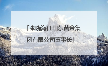 张晓海任山东黄金集团有限公司董事长