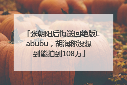张朝阳后悔送回绝版Labubu，胡润称没想到能拍到108万