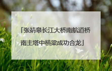 张靖皋长江大桥南航道桥南主塔中横梁成功合龙
