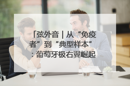 弦外音｜从“免疫者”到“典型样本”：葡萄牙极右翼崛起背后的欧洲困局