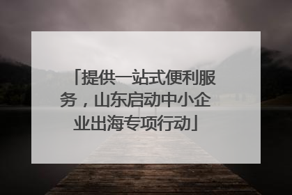 提供一站式便利服务，山东启动中小企业出海专项行动