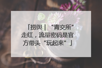 捞舆｜“青交所”走红，流量密码是官方带头“玩起来”