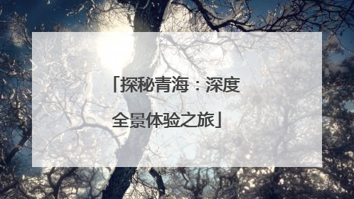 探秘青海：深度全景体验之旅