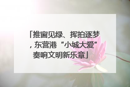 推窗见绿、挥拍逐梦，东营港“小城大爱”奏响文明新乐章