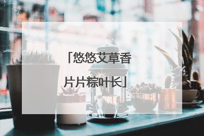 悠悠艾草香 片片粽叶长