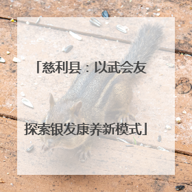 慈利县：以武会友 探索银发康养新模式