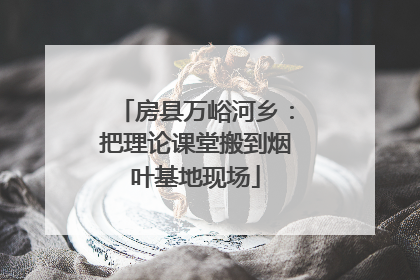 房县万峪河乡：把理论课堂搬到烟叶基地现场