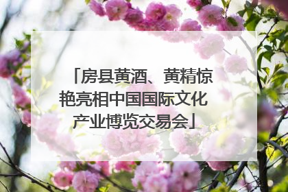 房县黄酒、黄精惊艳亮相中国国际文化产业博览交易会