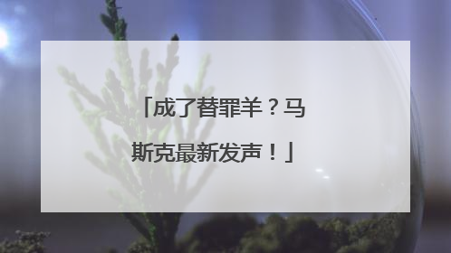 成了替罪羊？马斯克最新发声！