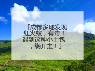 成都多地发现红火蚁，有毒！遇到这种小土包，绕开走！
