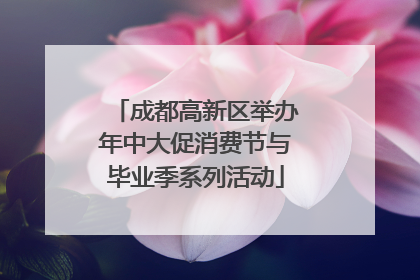 成都高新区举办年中大促消费节与毕业季系列活动