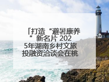 打造“避暑康养”新名片 2025年湖南乡村文旅投融资洽谈会在桃江举办