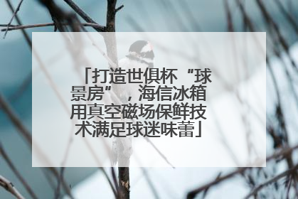 打造世俱杯“球景房”，海信冰箱用真空磁场保鲜技术满足球迷味蕾
