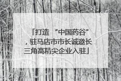 打造 “中国药谷”，驻马店市市长诚邀长三角高精尖企业入驻