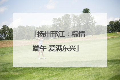 扬州邗江：粽情端午 爱满东兴