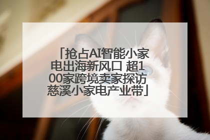 抢占AI智能小家电出海新风口 超100家跨境卖家探访慈溪小家电产业带