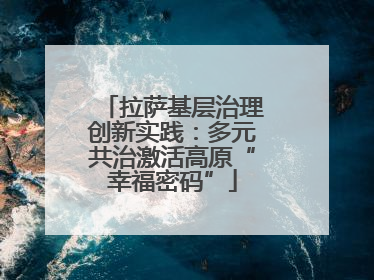 拉萨基层治理创新实践：多元共治激活高原“幸福密码”